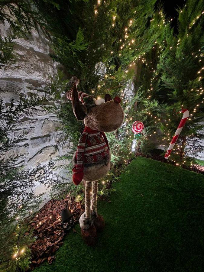 Damona 2Br Luxury Home With Garden - Κοντά Στο Κέντρο イラクリオン エクステリア 写真